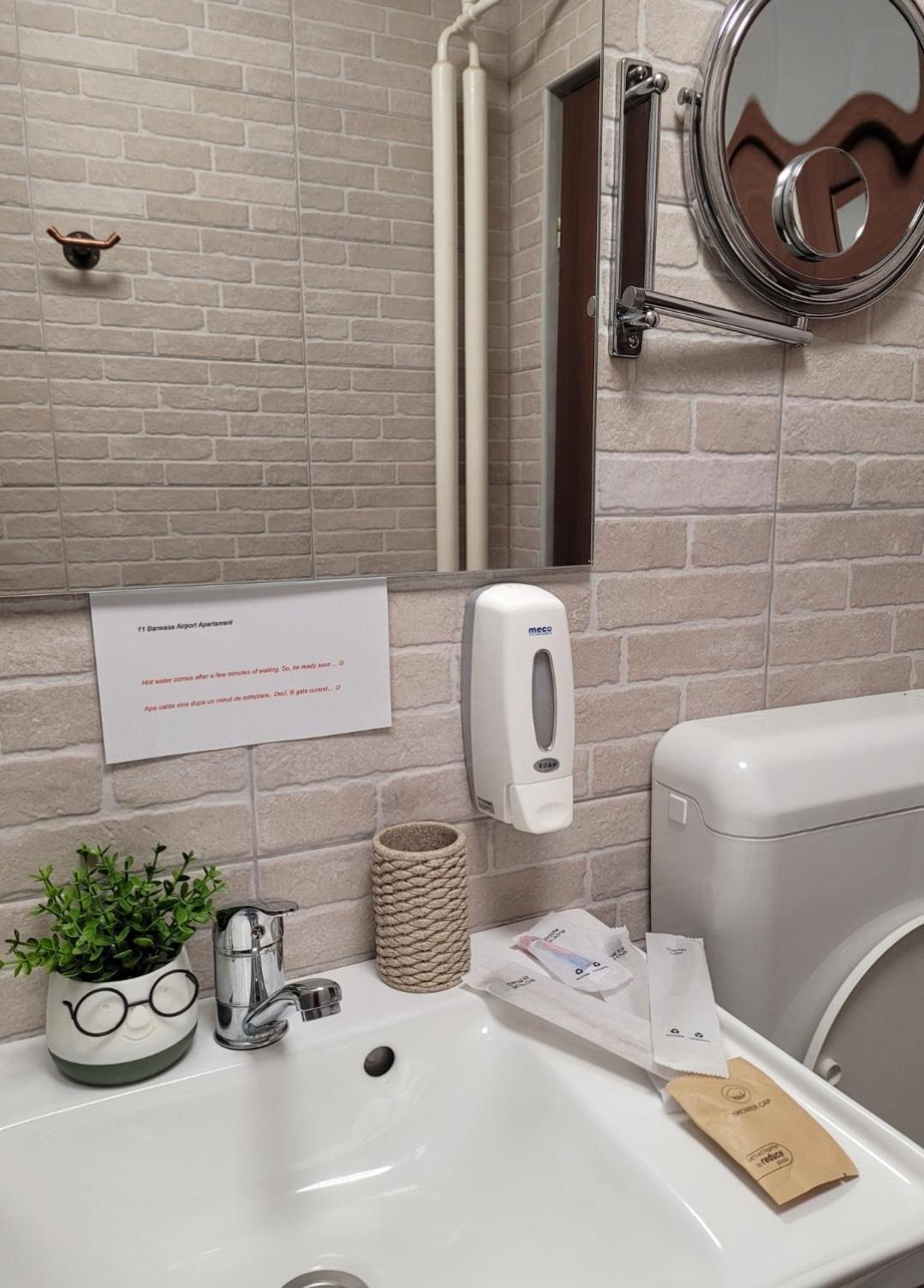 11 Baneasa Airport Apartament ブカレスト 部屋 写真